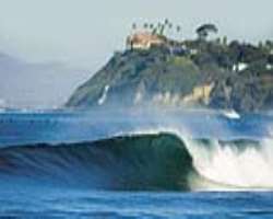 A popular spot in Cardiff is ?The Reef?. It is a s A popular spot in Cardiff is ?The Reef?. It is a surf spot in Cardiff that produces waves both professional and novice surfers enjoy year-round. When